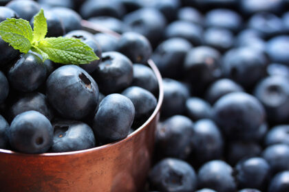 wellhealthorganic.com blueberry brain boosting benefits