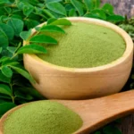 wellhealthorganic moringa powder benefits in hindi