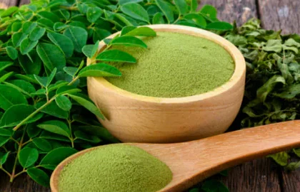 wellhealthorganic moringa powder benefits in hindi