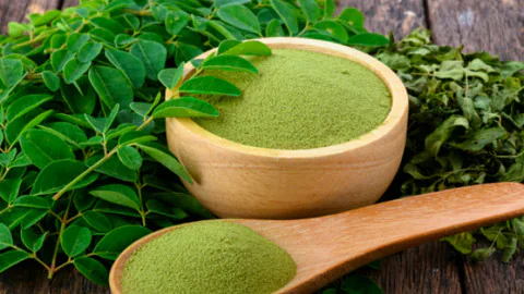 wellhealthorganic moringa powder benefits in hindi