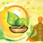 Discover Arogyam Ayurveda: Natural Healing for You