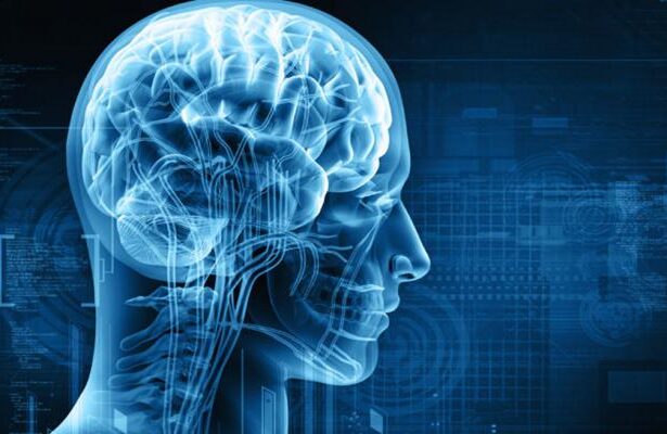 Brain Power : Brain Memory मजबूत करने के आयुर्वेदिक उपाय