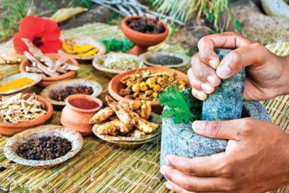 Jiva Ayurveda: Natural Healing for Modern Times