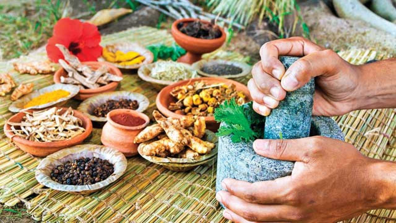 Jiva Ayurveda: Natural Healing for Modern Times