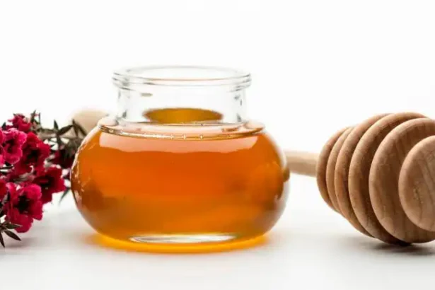 wellhealthorganic.com healing power of manuka honey