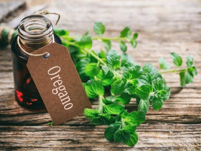 What are the health benefits and side effects of Oregano Oil