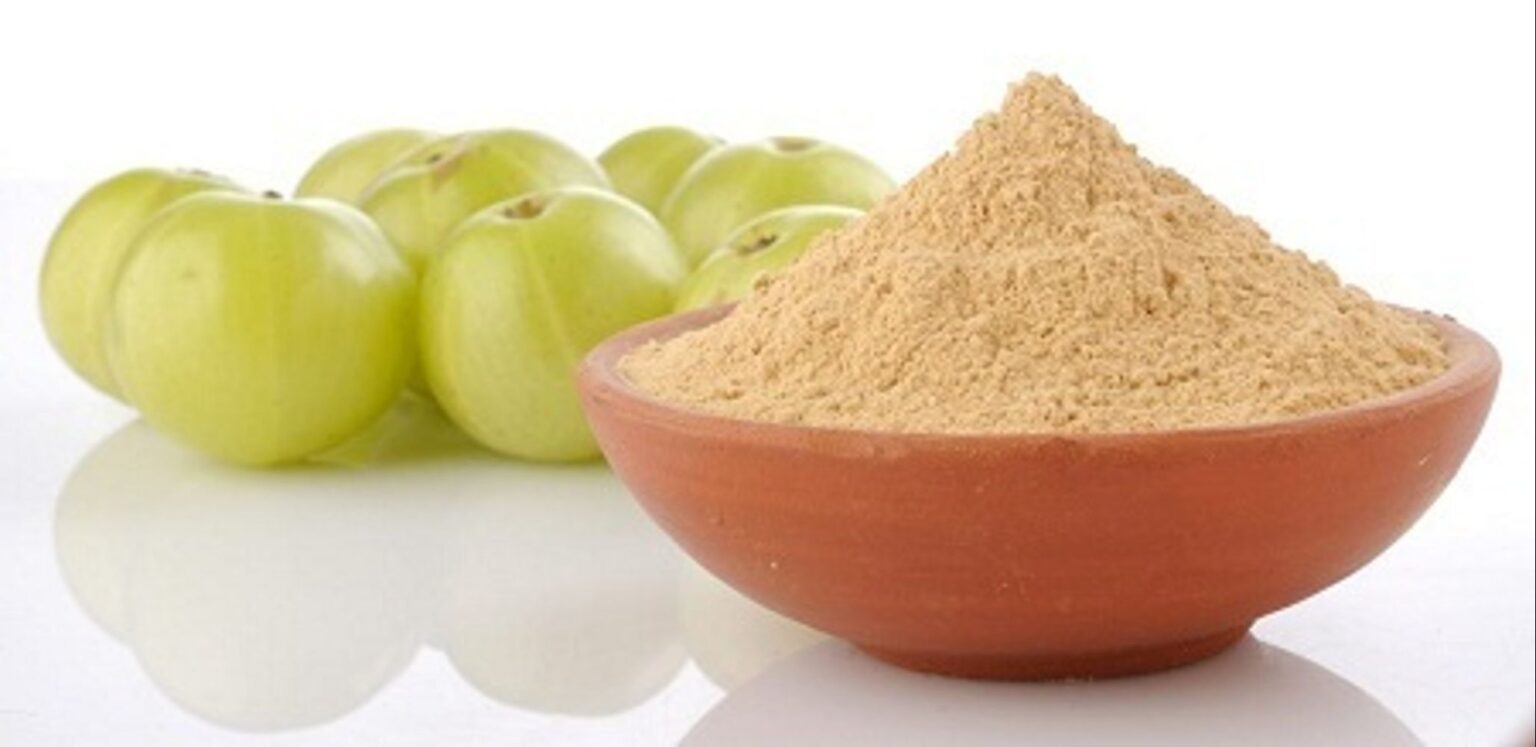 Amla Powder Benefits for Hair and Others