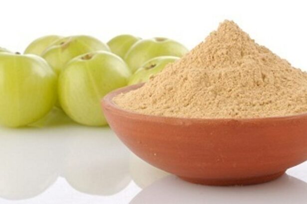 Amla Powder Benefits for Hair and Others